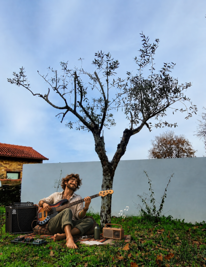 Olive Tree Adoption „The Rhythm Keeper" in Portugal