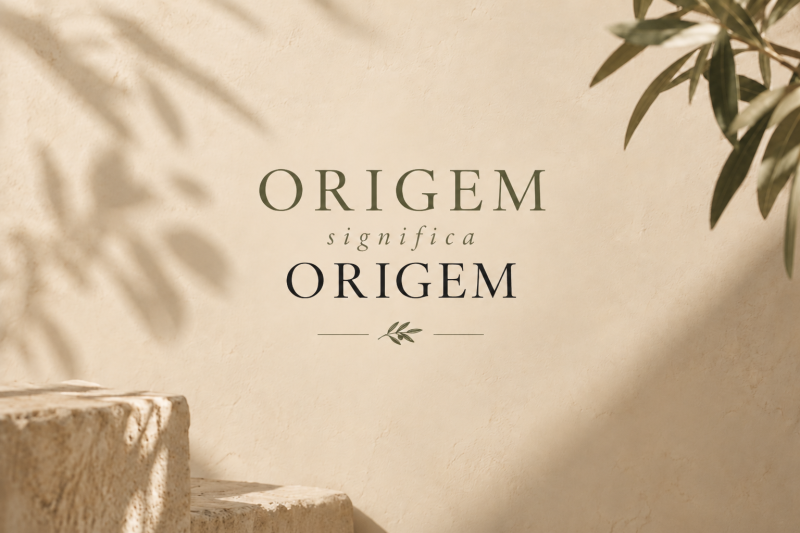 Origem significa Origem