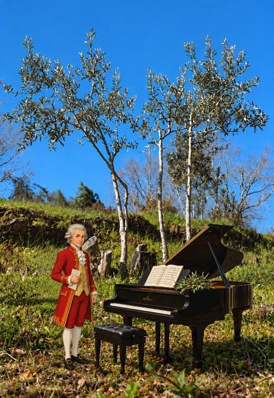 Olivenbaum-Patenschaft „Mozart" in Portugal