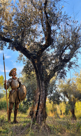 Olivenbaum-Patenschaft Don Quijote